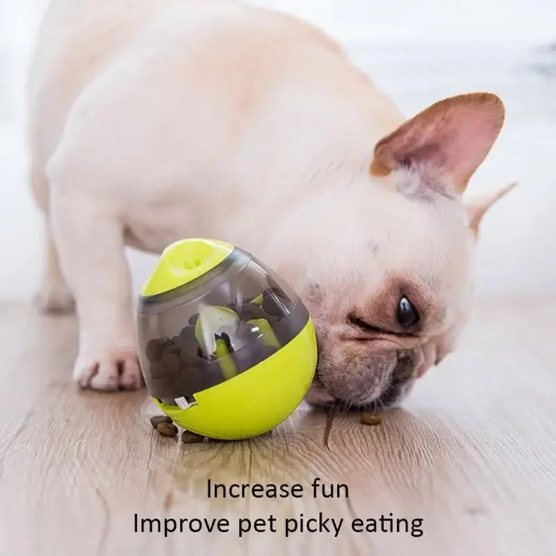 Interactive Cat IQ Treat Ball - Smart Food Dispenser Puzzle Toy for Mental Stimulation & Training - Slow Feeder for Indoor Cats with Adjustable Difficulty Levels